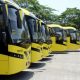 Five yellow buses for the Jamaica Urban Transit Company lined up