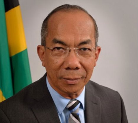 Minister without Portfolio in the Ministry of Economic Growth and Job Creation Horace Chang on potential of breadfruit