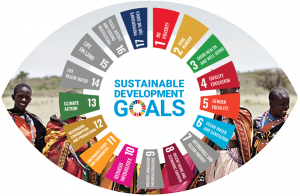 Achievement of the SDGs