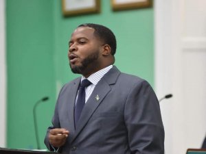Bahamian Opposition Legislator Adrian Gibson has been granted bail