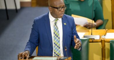 Jamaican Ministry Unveils Ambitious Plans to Enhance Overseas Work Programme (image source: JIS)